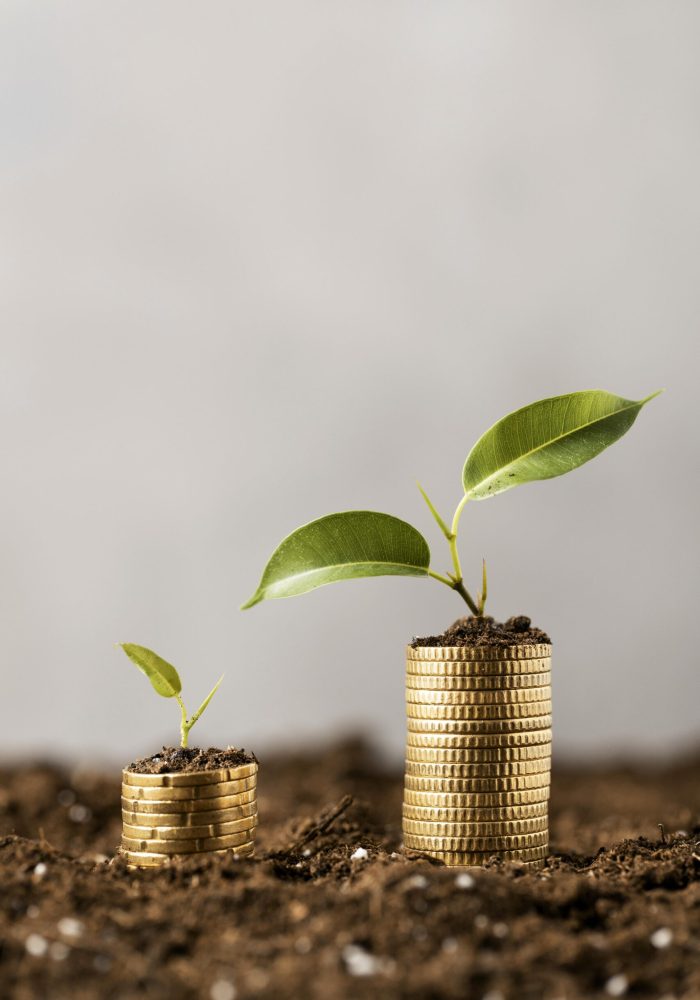 front-view-plants-with-coins-stacked-dirt-copy-space
